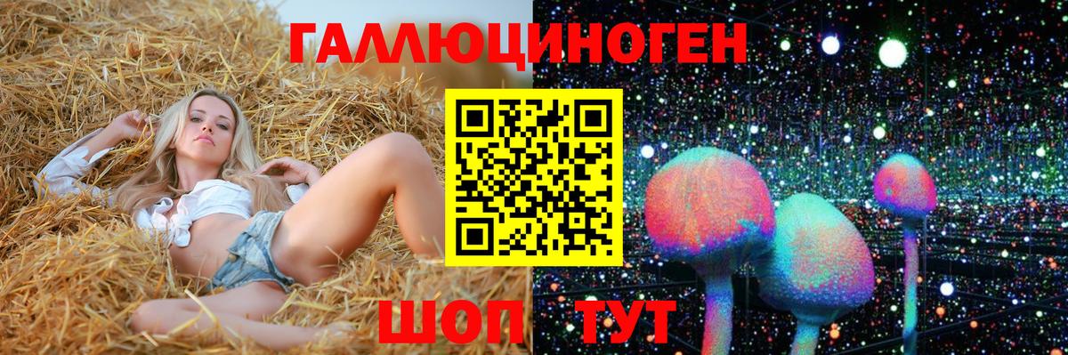 Галлюциногенные грибы GOLDEN TEACHER Карпинск