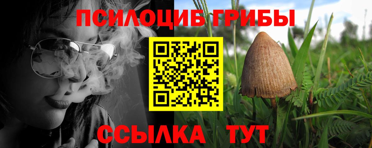 Псилоцибиновые грибы Magic Shrooms  Вход с VPN  Карпинск 